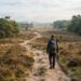 Wandelaar met rugzak op een zandpad door heide en dennenbos in de vroege herfst